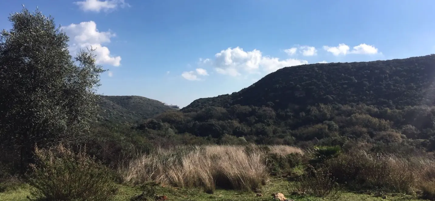 Sale of residential plot in Manilva 2