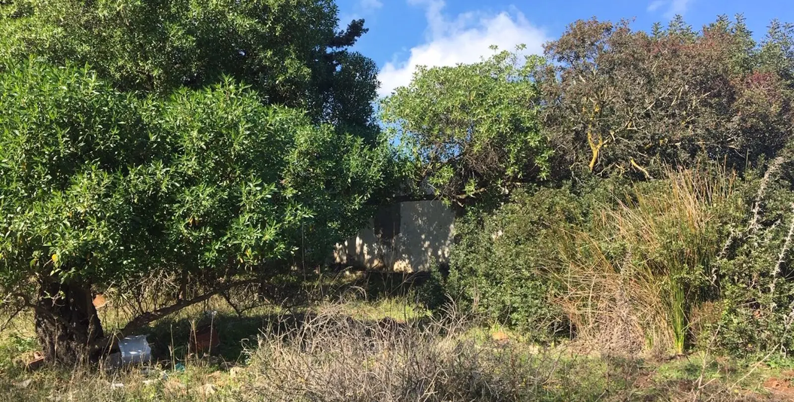 Sale of residential plot in Manilva 4