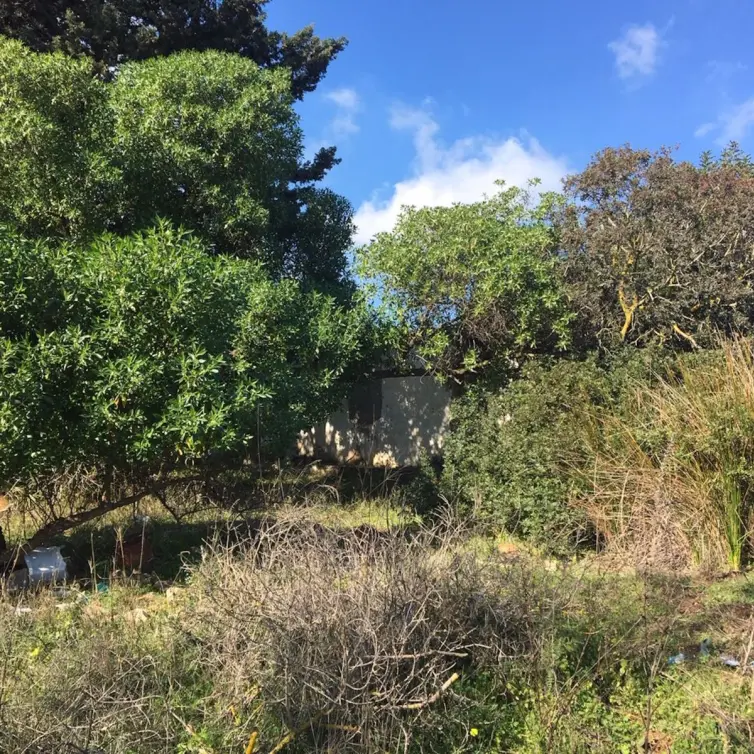 Sale of residential plot in Manilva