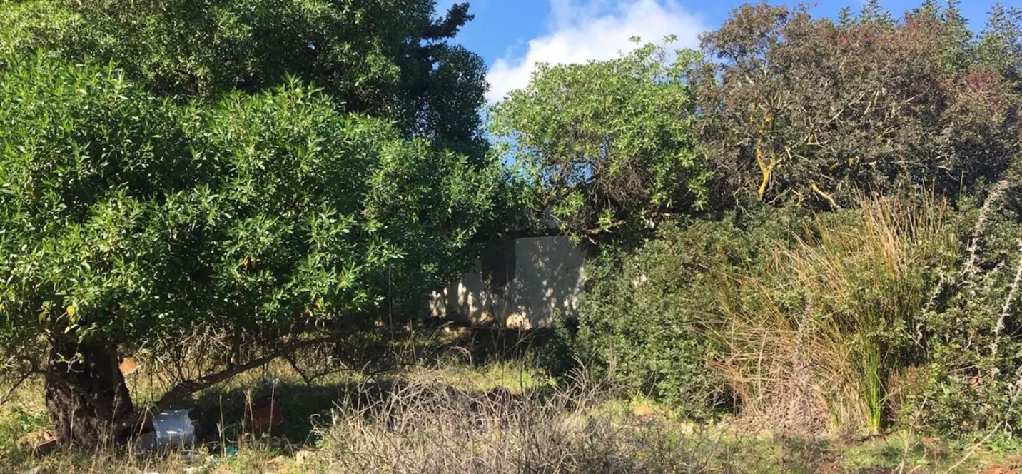 Sale of residential plot in Manilva 3