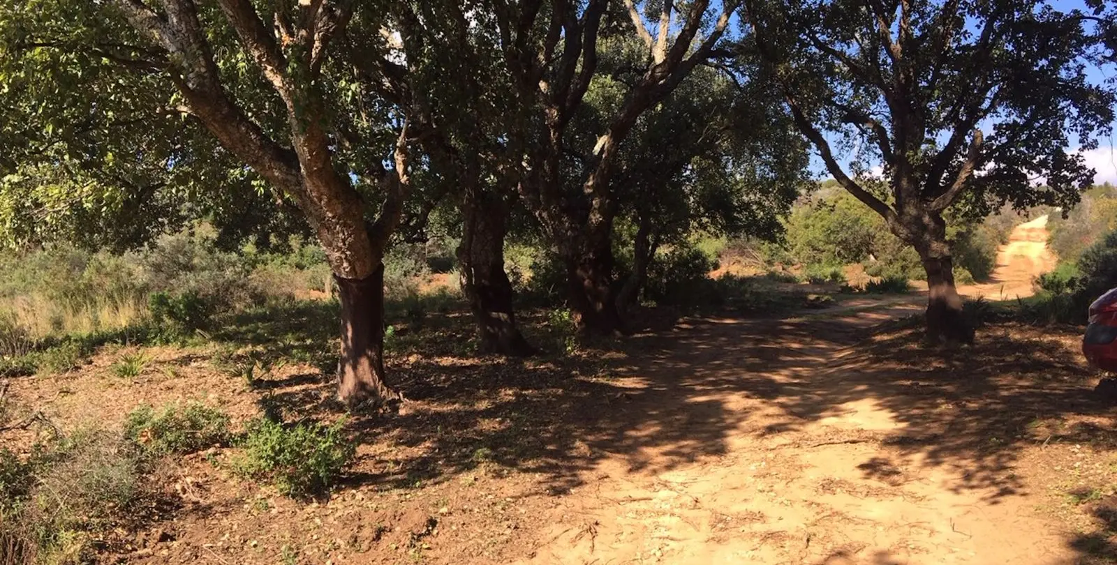 Sale of residential plot in Manilva 7