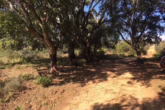 Image 7 thumb