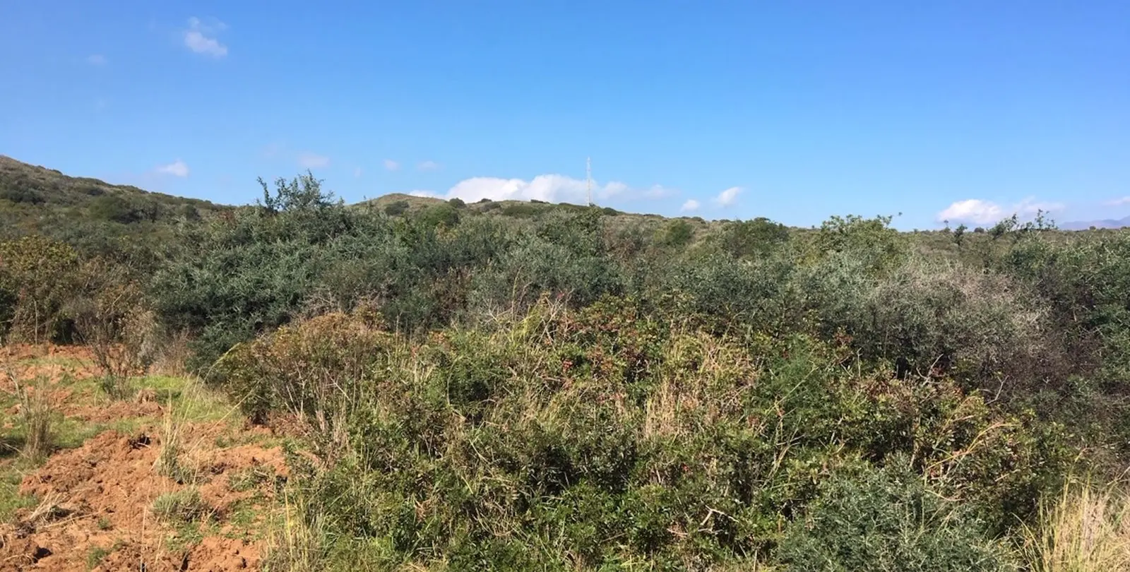 Sale of residential plot in Manilva 8
