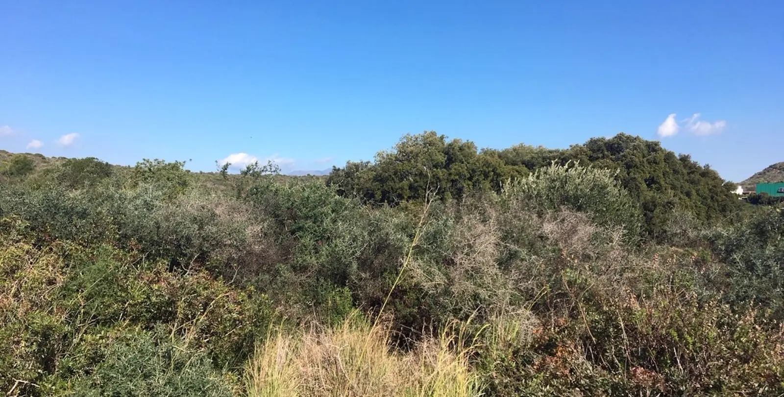 Sale of residential plot in Manilva 9