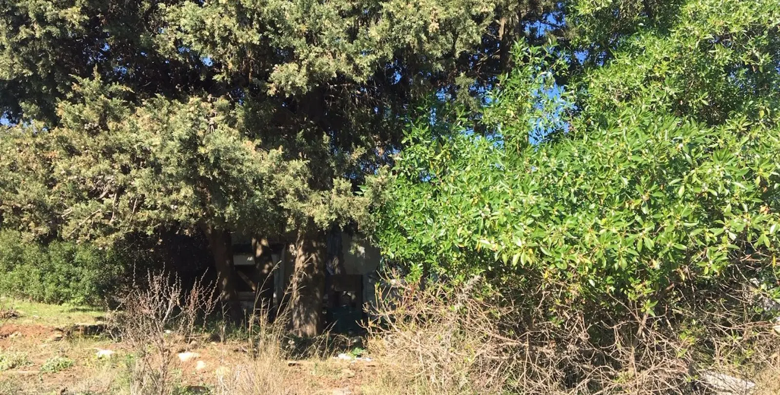Sale of residential plot in Manilva 10