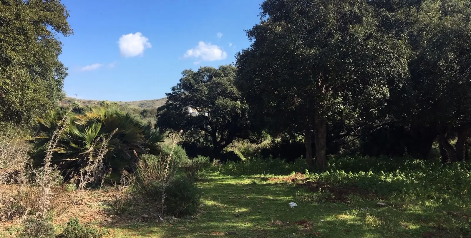 Sale of residential plot in Manilva 12