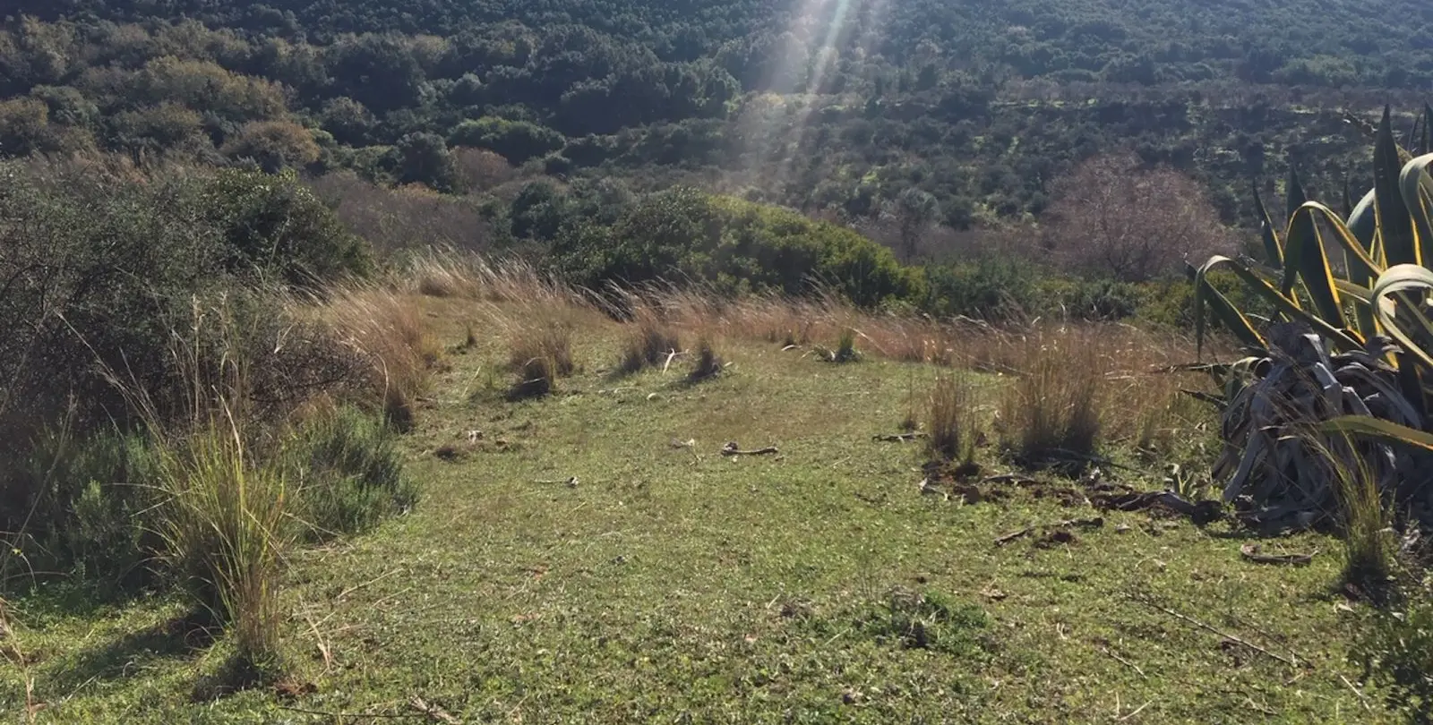 Sale of residential plot in Manilva 13
