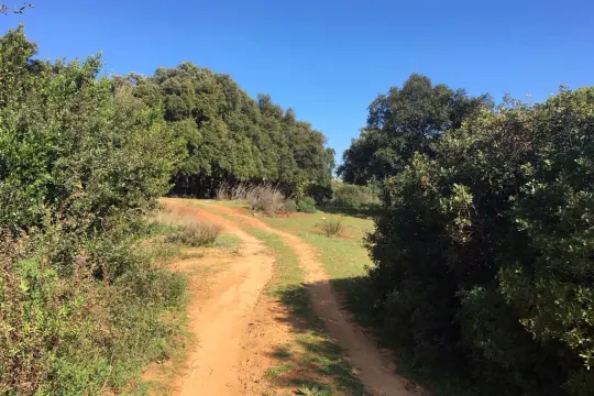 Image 14 thumb