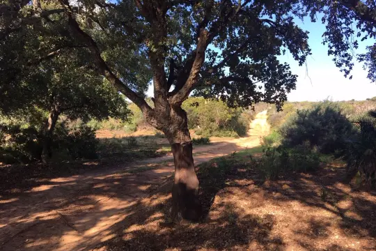 Image 18 thumb