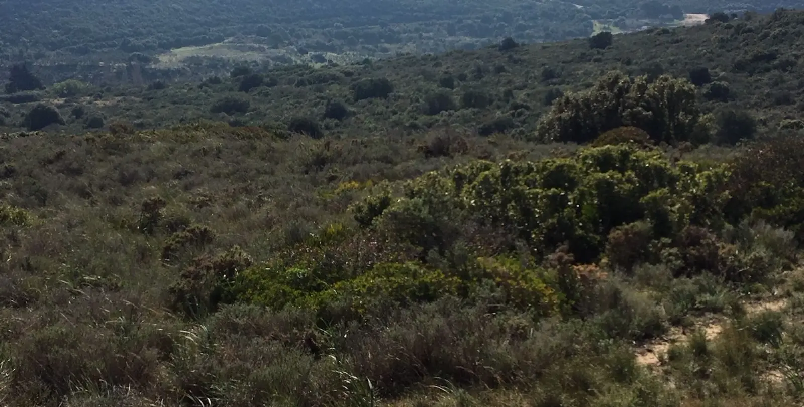 Sale of residential plot in Manilva 27