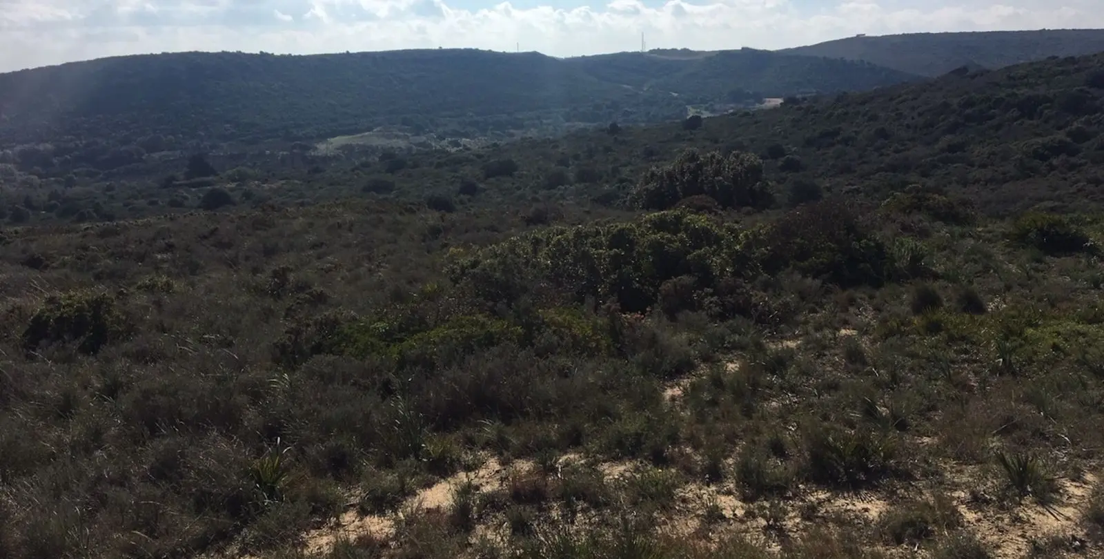 Sale of residential plot in Manilva 28