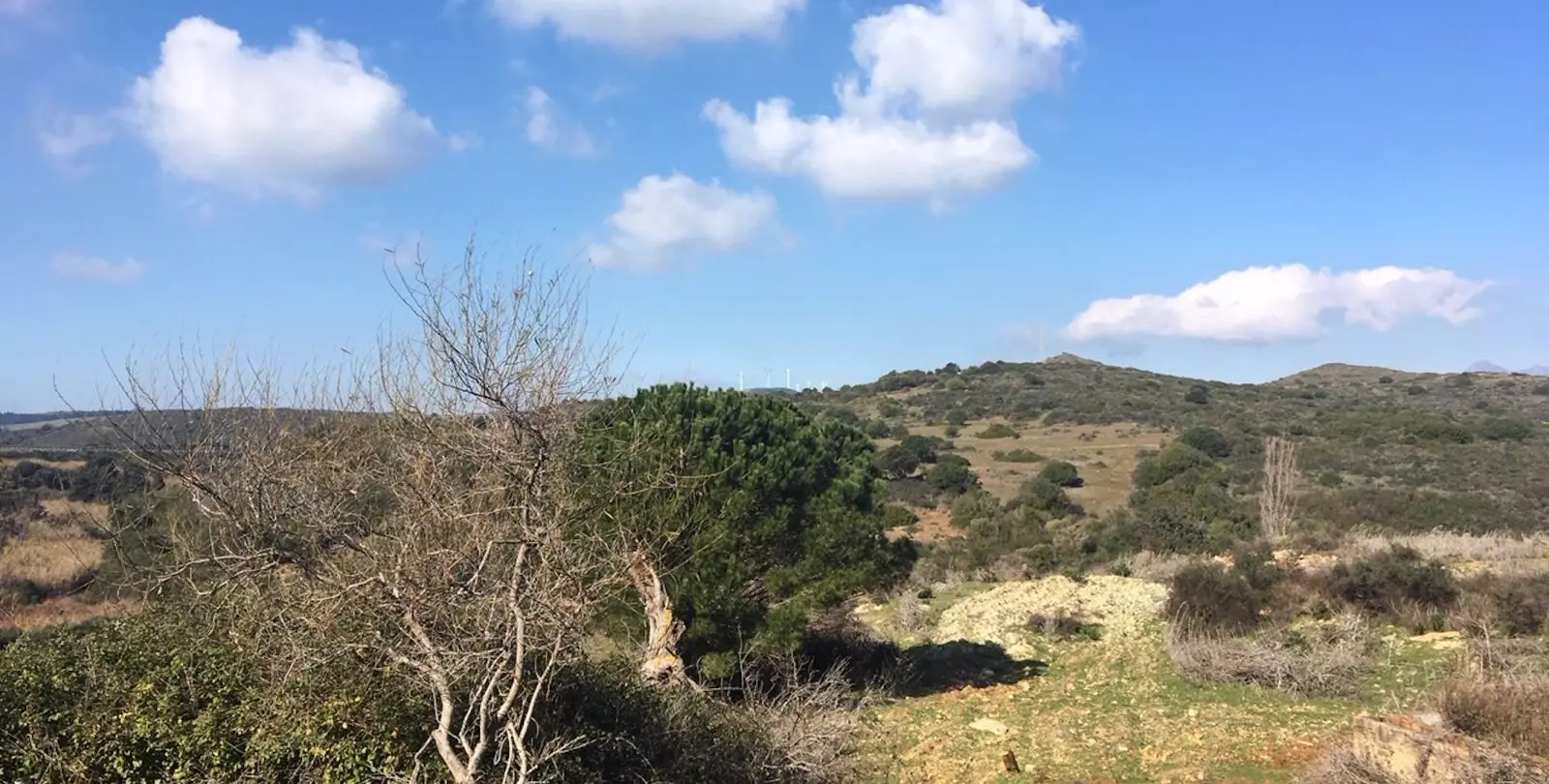 Sale of residential plot in Manilva 29