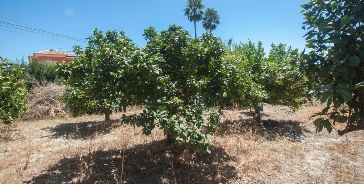 Sale of detached villa in Estepona 28