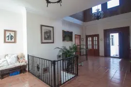 Image 7 thumb