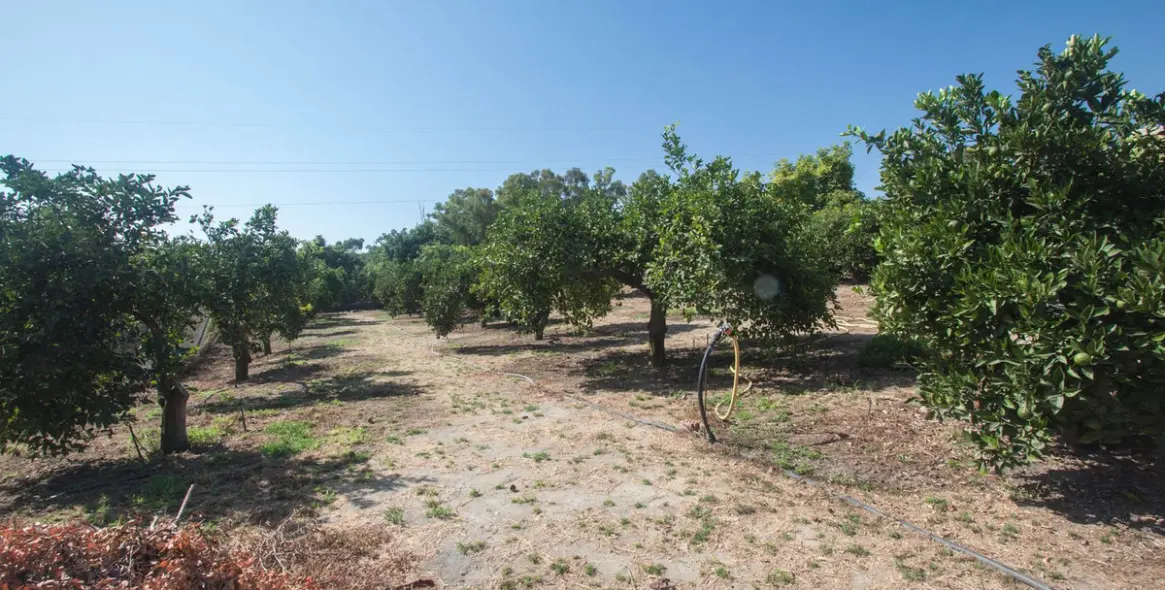 Продажа финки в Estepona 38