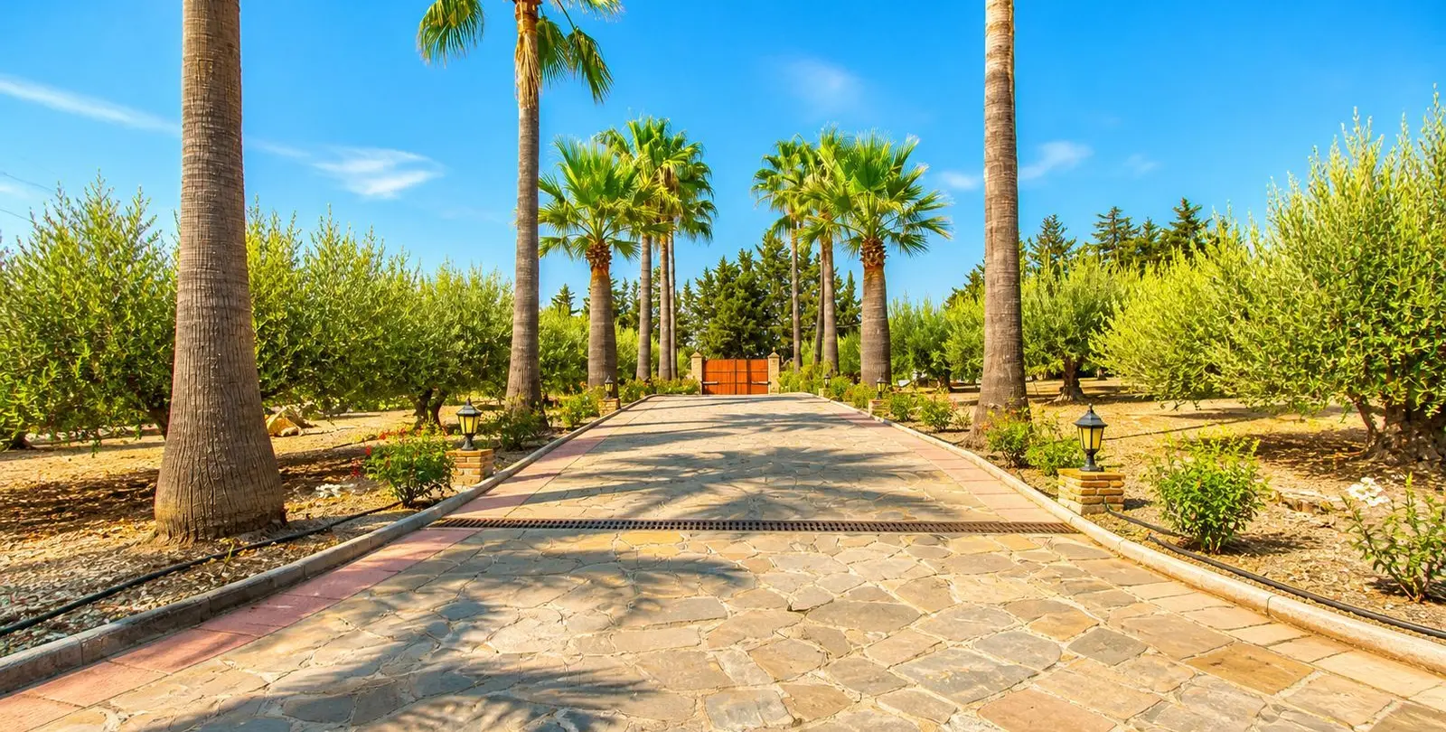 Sale of finca - cortijo in Estepona 5