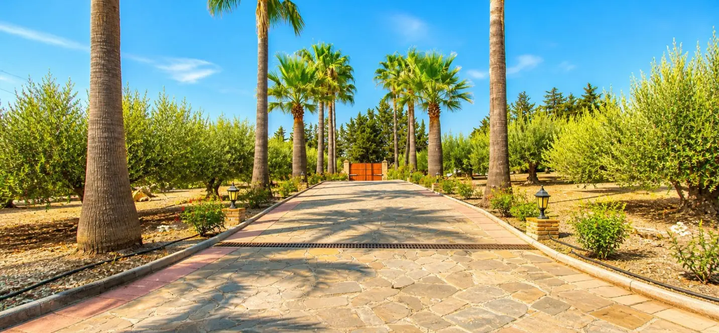 Sale of finca - cortijo in Estepona 4