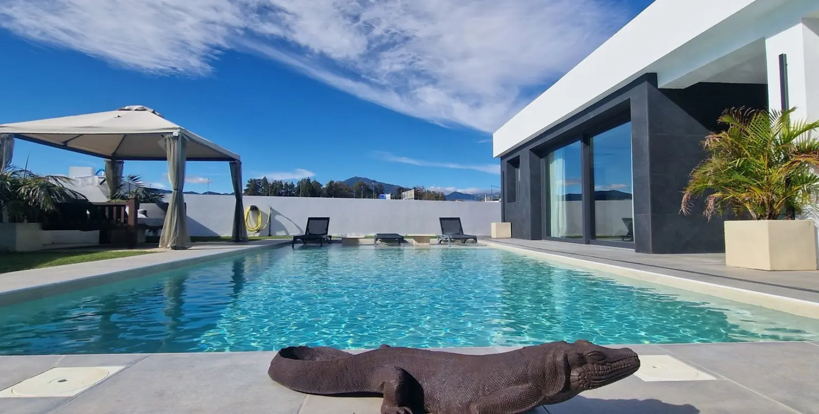 Sale of detached villa in San Pedro de Alcántara 1