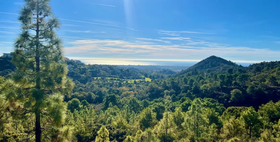 Venta de parcela residencial en Benahavís (distrito Benahavís) 1