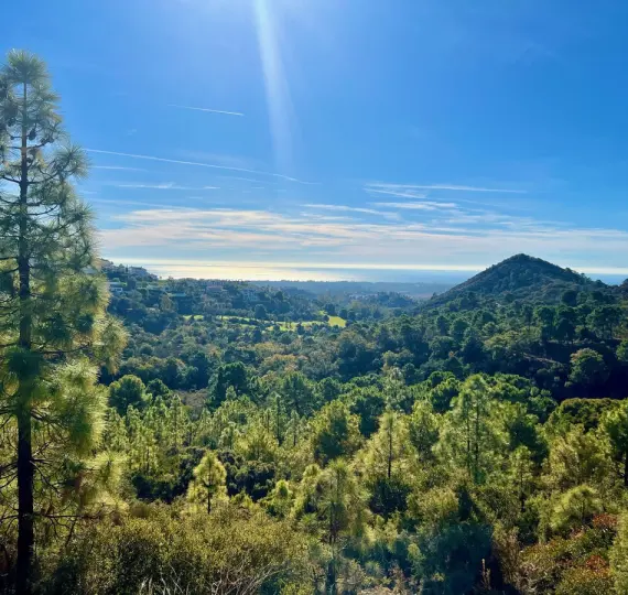 Parcela residencial R4753684