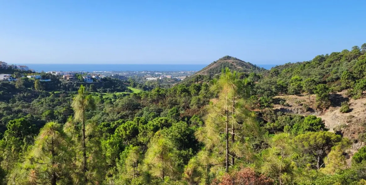 Venta de parcela residencial en Benahavís (distrito Benahavís) 2