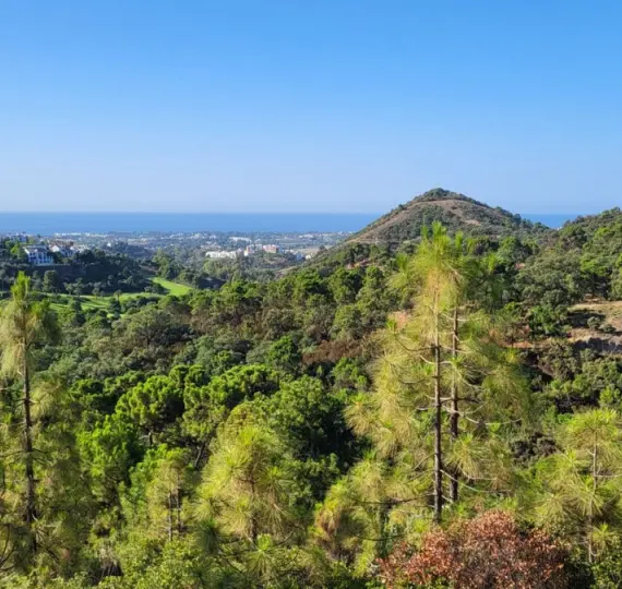 Parcela residencial R4753684