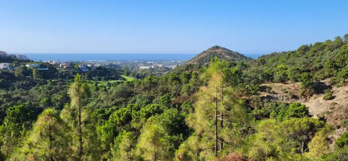 Parcela residencial R4753684 1