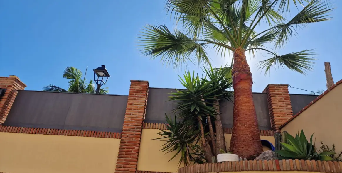 Sale of semi-detached house in Marbella 34