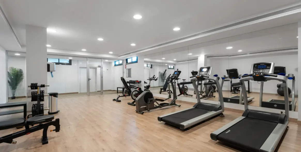 Sale of penthouse duplex in Artola 45