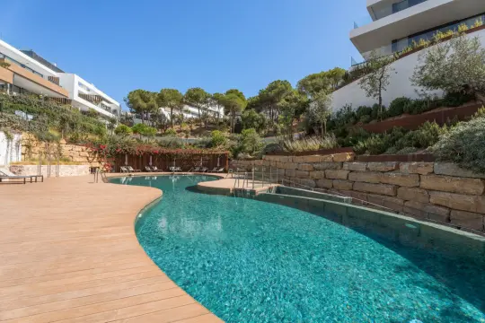 Image 41 thumb