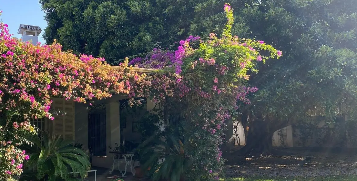 Продажа  отдельно стоящей виллы в Guadalmina Baja 8