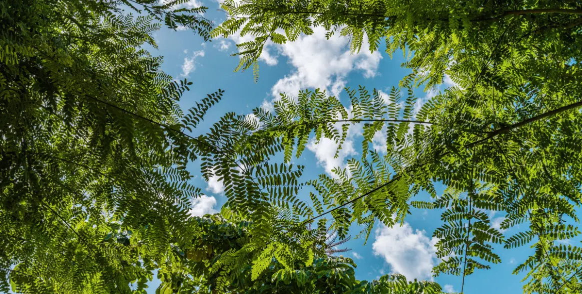 Продажа двухуровневого пентхауса в The Golden Mile 29