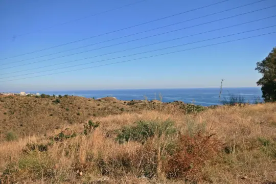 Image 1 thumb