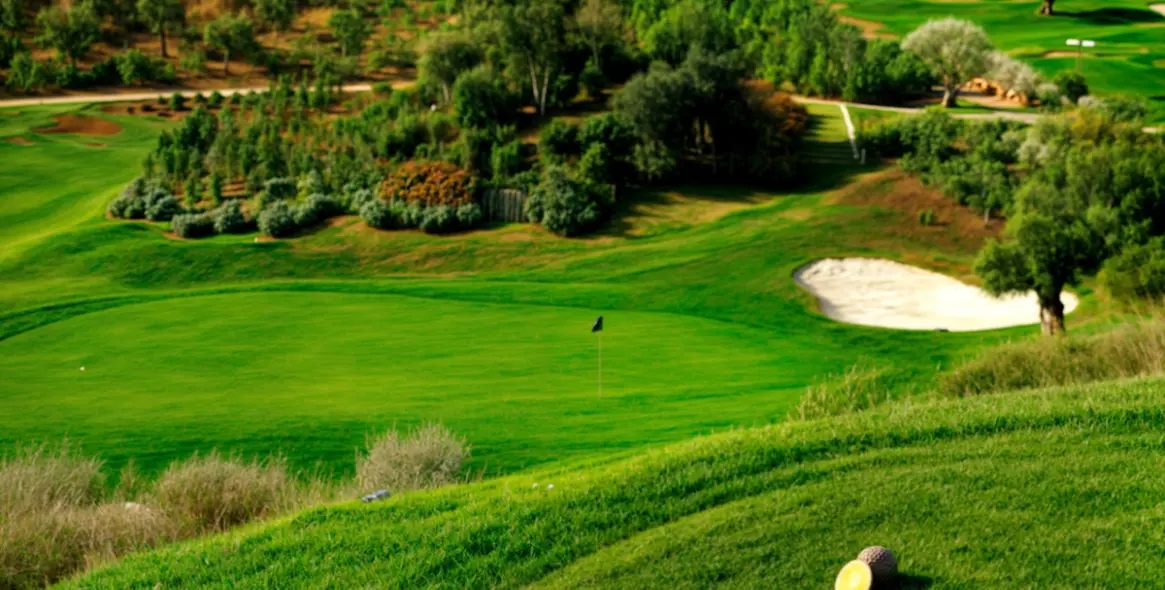 Sale of detached villa in Estepona 5