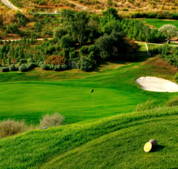 Sale of detached villa in Estepona