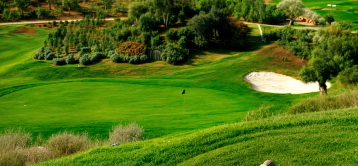 Sale of detached villa in Estepona 4