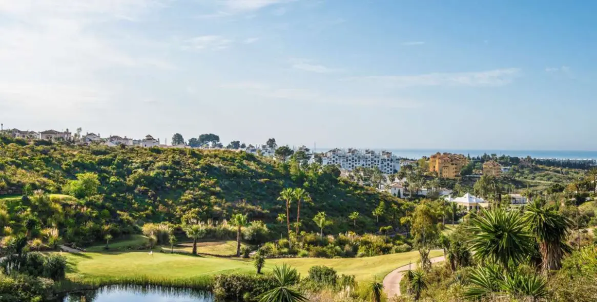 Sale of detached villa in Estepona 6