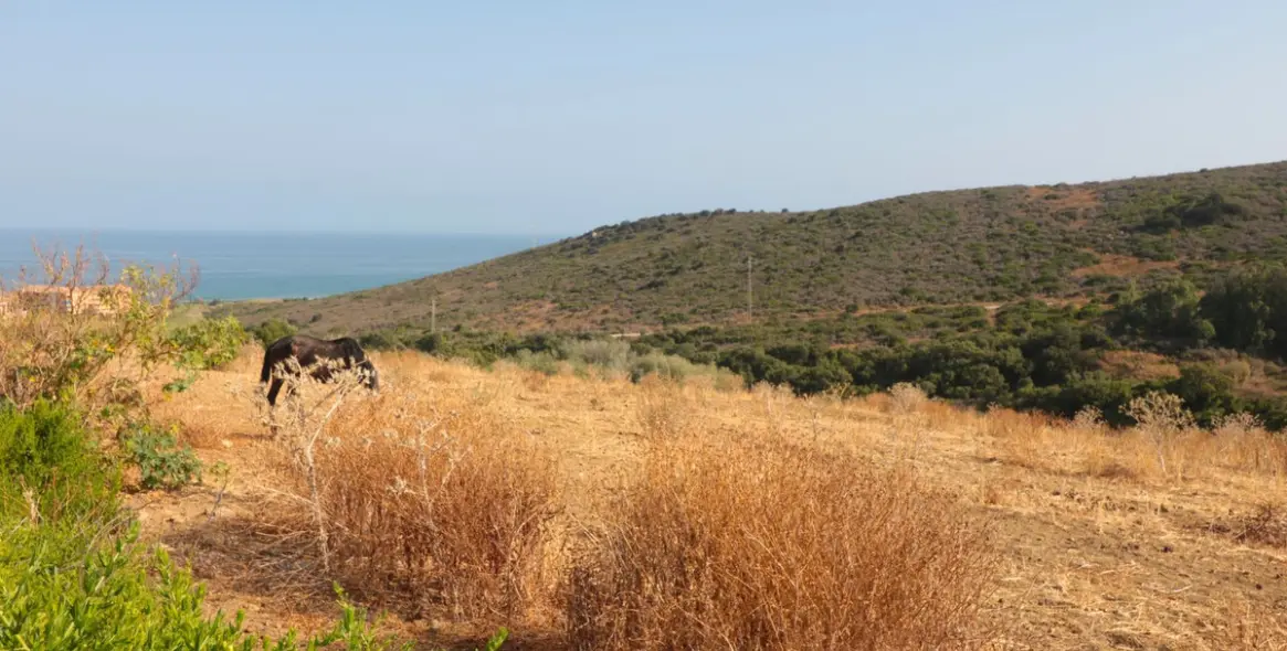 Venta de parcela residencial en Manilva (distrito Manilva) 2