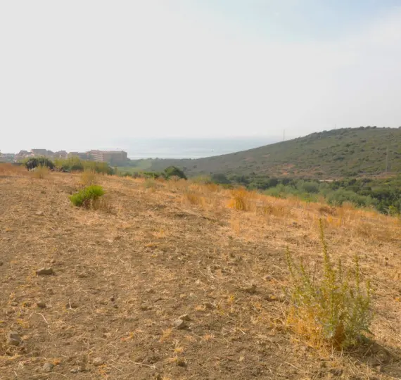 Parcela residencial R4114879