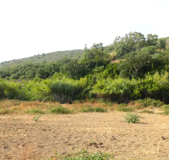 Parcela residencial R4114879