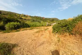 Image 4 thumb