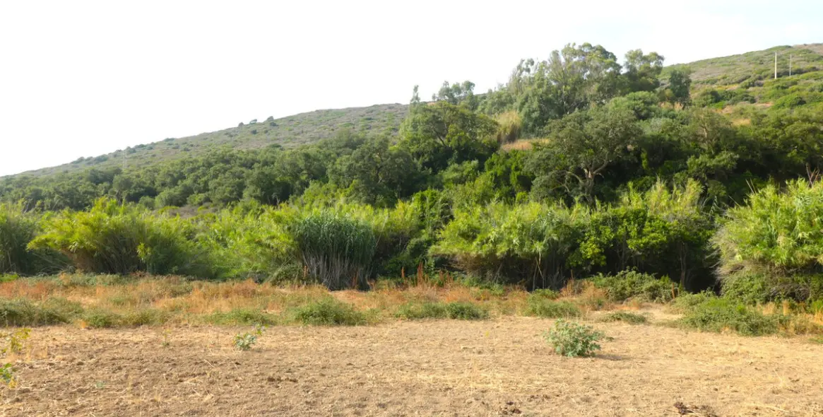 Sale of residential plot in Manilva 6