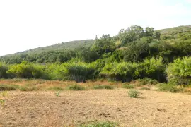 Image 6 thumb