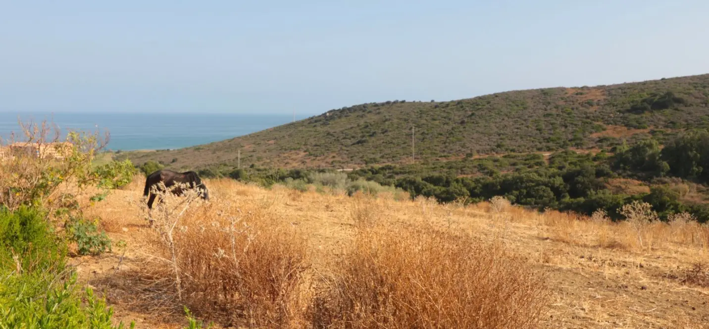 Sale of residential plot in Manilva 1