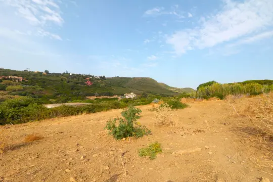 Image 5 thumb