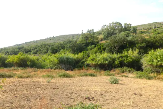 Image 6 thumb