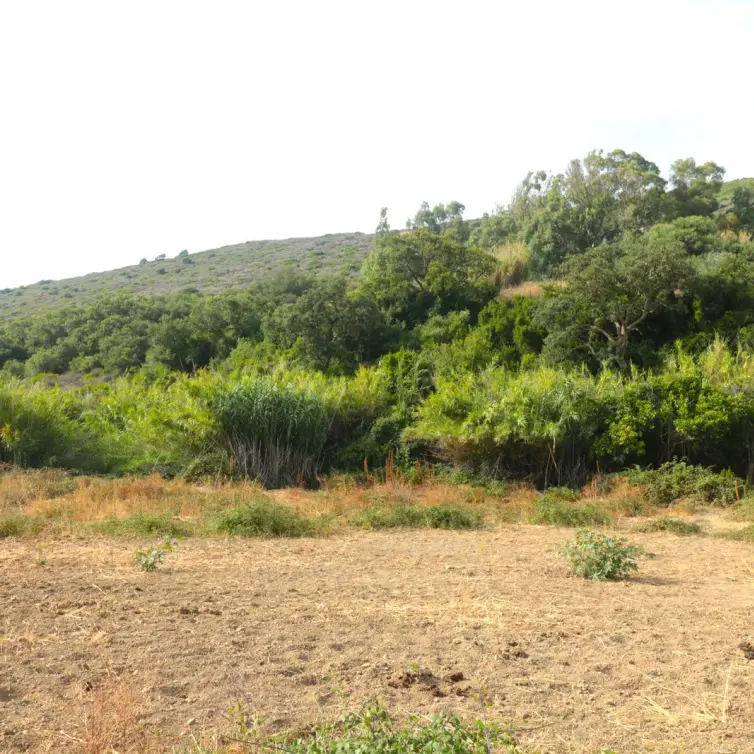Sale of residential plot in Manilva