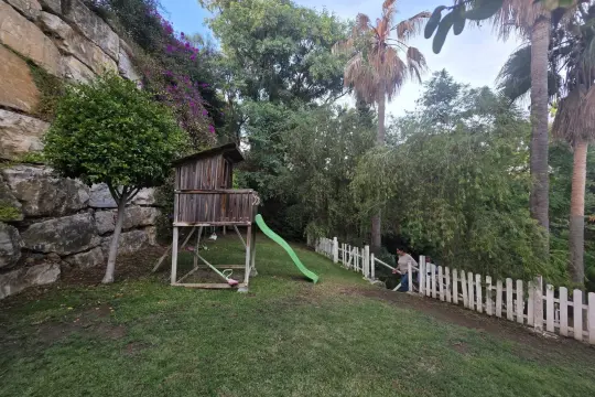 Image 9 thumb