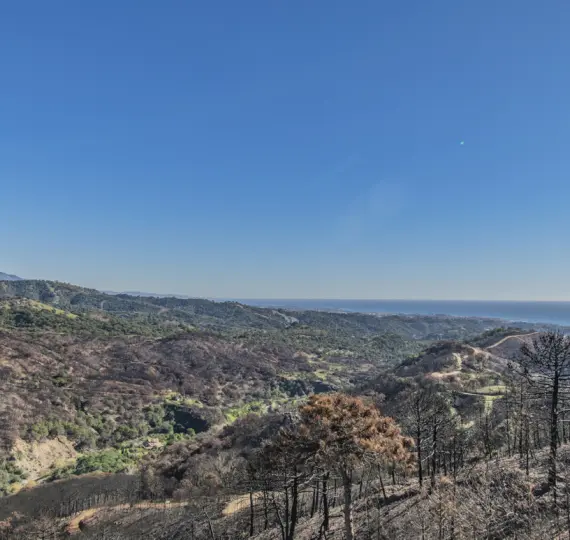 Venta de villa independiente en Estepona