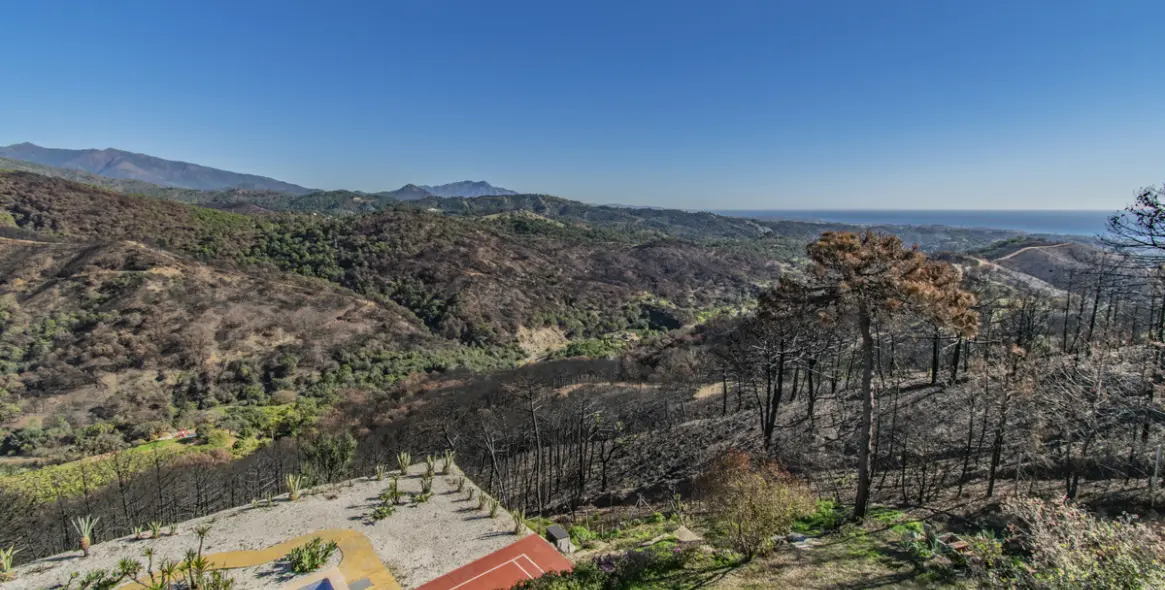 Продажа  отдельно стоящей виллы в Estepona 7